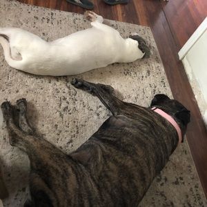 Meet your Posher, Stefan